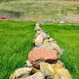 Agriculture & Farming- Turkey