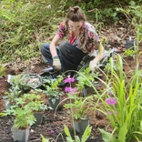 Horticulture candidate in the field