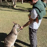 Get up close and personal with some of Australia's coolest animals! 