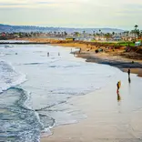 Environmental Conservation San Diego