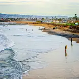 Environmental Conservation San Diego
