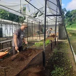 A volunteer works in the highland nursery