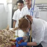 Medical Internship in Cambodia