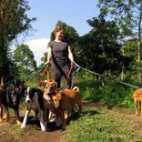 Animal Welfare in Tanzania