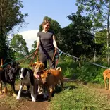 Animal Welfare in Tanzania