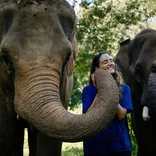 Elephant Conservation in Thailand