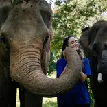 Elephant Conservation in Thailand