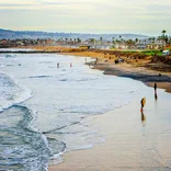 Environmental Conservation in San Diego, USA