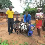 HIV/AIDS Support in Zimbabwe