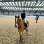Equine Study Abroad Program - Riding Portion