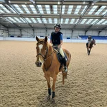 Equine Study Abroad Program - Riding Portion