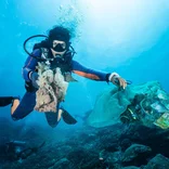 underwater clean up