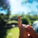 Conservation