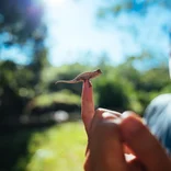 Conservation