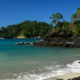 Costa Rica - Family-Friendly Wildlife Volunteering on the Pacific Coast - GoEco