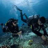 research at coral restoration site