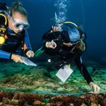 monitoring coral reef health
