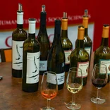 Wine Studies