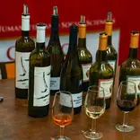 Wine Studies
