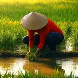 Sustainable development in Vietnam