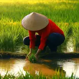 Sustainable development in Vietnam