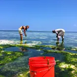 zanzibar