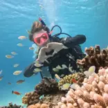 Dive into the diverse marine life, history and culture of the Red Sea