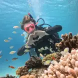 Dive into the diverse marine life, history and culture of the Red Sea