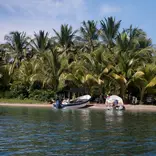 Anna Chah Panama 4