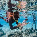 Students snorkel just beneath the surface while writing on waterproof field journals observing marine life below.