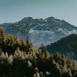A snowy mountain range rises above dense evergreen forests, with early sunlight casting shadows across the trees under a clear sky.