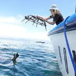 A diver receiving a coral structure from the boat