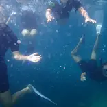 Marine Ecology & Biodiversity Abroad in italy