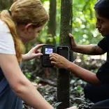 Rainforest Conservation in Peru