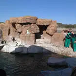Penguin and Seabird Rescue