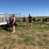 Volunteers Working
