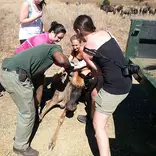 Volunteers Working