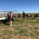 Volunteers Working