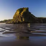 CIEE Auckland Summer Programs