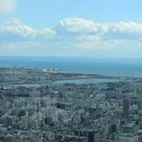 Aerial city view of skyscrapers and river of Tokyo