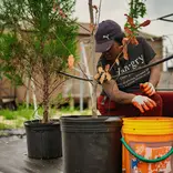 Volunteer in New Orleans