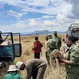 Giraffe Ambassadors staff and volunteers in the field at Soysambu Conservancy