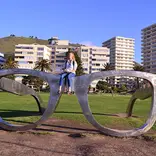 IES Abroad Cape Town Summer – Internship