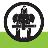 ivi volunteers logo