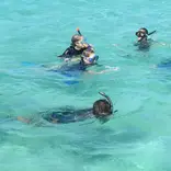 Students swimming
