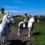 Equine study abroad program in Scotland