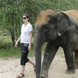 Oceans 2 Earth Thai Wildlife Volunteer Project