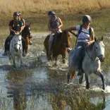 Horse Riding volunteers