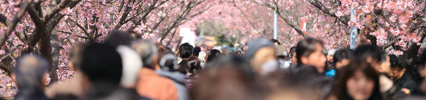 Spring Break Study Abroad Programs
