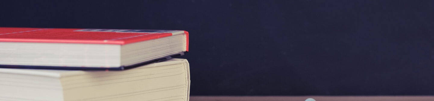 TEFL / TESOL Masters Programs